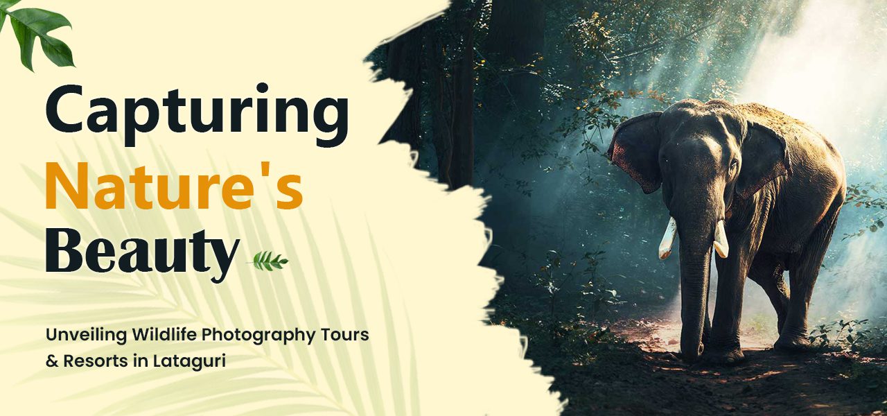 CAPTURING NATURE’S BEAUTY: UNVEILING WILDLIFE PHOTOGRAPHY TOURS AND RESORTS IN LATAGURI